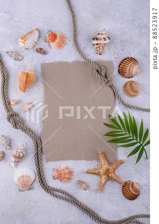 Summer nautical marine background with shell Summer nautical marine background with shell 88523917