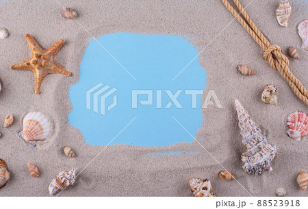 Summer nautical marine background with shell Summer nautical marine background with shell 88523918