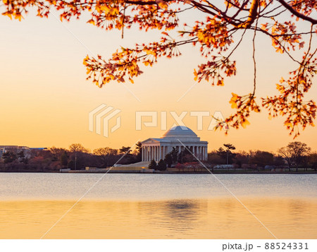 Sun rise view of the Thomas Jefferson Memorial with cherry blossom 88524331