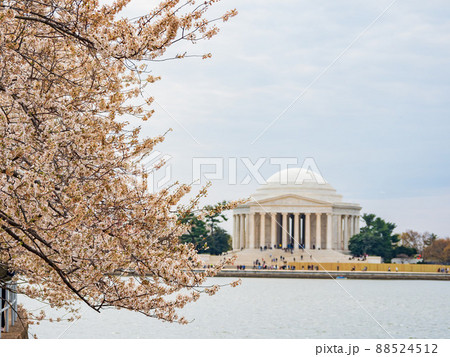 Daytime view of The Thomas Jefferson Memorial Daytime view of The Thomas Jefferson Memorial 88524512