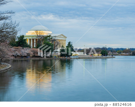 Twilight view of The Thomas Jefferson Memorial 88524616