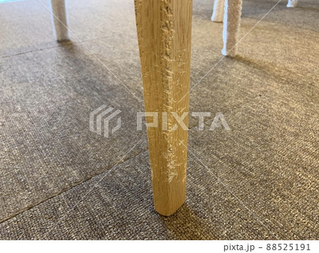 犬に噛まれてボロボロになった家具たち 88525191