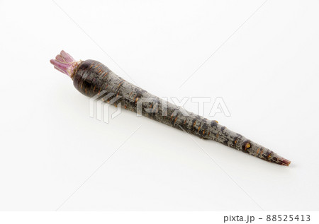 黒にんじん 88525413