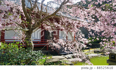 日本の風景（池田市 久安寺） 88525610