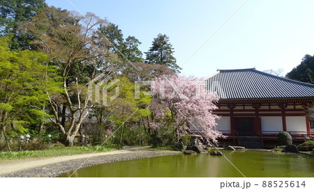 日本の風景(池田市 久安寺) 日本の風景(池田市 久安寺) 88525614