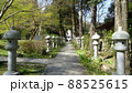 日本の風景(池田市 久安寺) 日本の風景(池田市 久安寺) 88525615