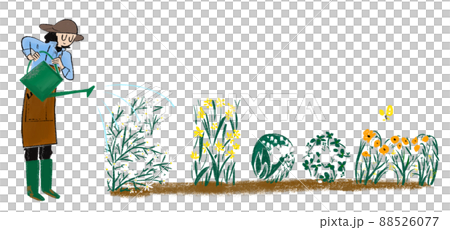 植物に水やりをする女性のイラスト 88526077
