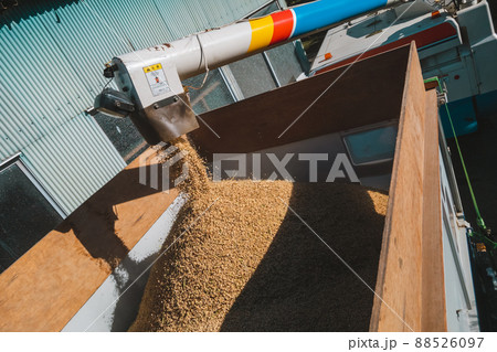 コンバインのオーガからコンテナへの籾排出 88526097