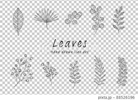 ペン画の葉のセット 88526196