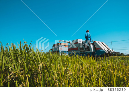 コンバインからコンテナへの籾排出 88526239