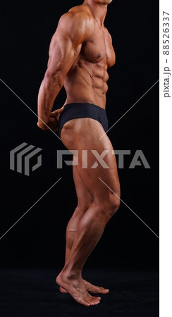 上腕三頭筋 88526337