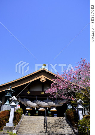 春の常陸国出雲大社 春の常陸国出雲大社 88527082