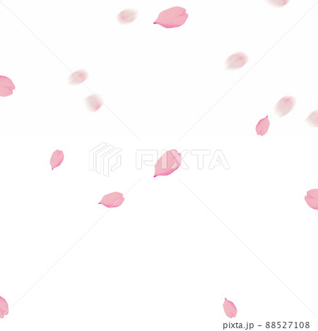 桜吹雪 88527108