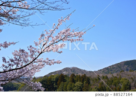 常陸国出雲大社から見る周辺の風景 常陸国出雲大社から見る周辺の風景 88527164