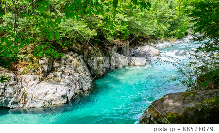 阿寺渓谷（夏） 88528079