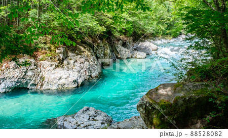 阿寺渓谷（夏） 88528082