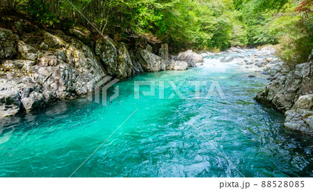 阿寺渓谷（夏） 88528085