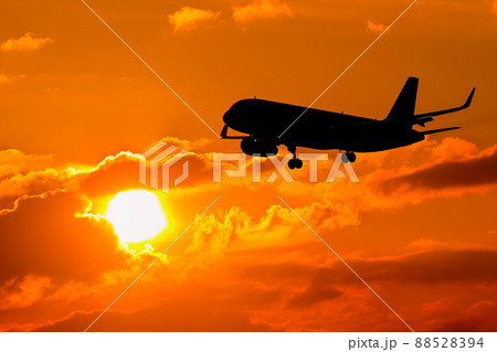 夕陽と飛行機 88528394
