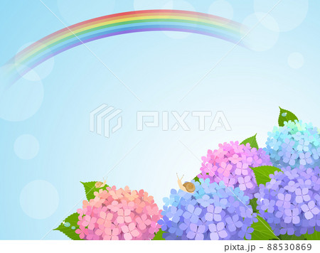 虹と紫陽花の背景・フレーム  88530869