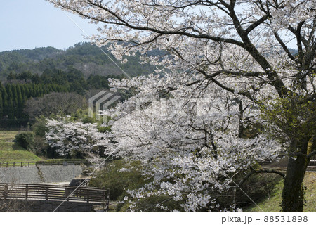 滝川親水公園（倉吉市関金温泉周辺の風景） 88531898