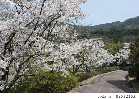 滝川親水公園(倉吉市関金温泉周辺の風景) 滝川親水公園(倉吉市関金温泉周辺の風景) 88532153