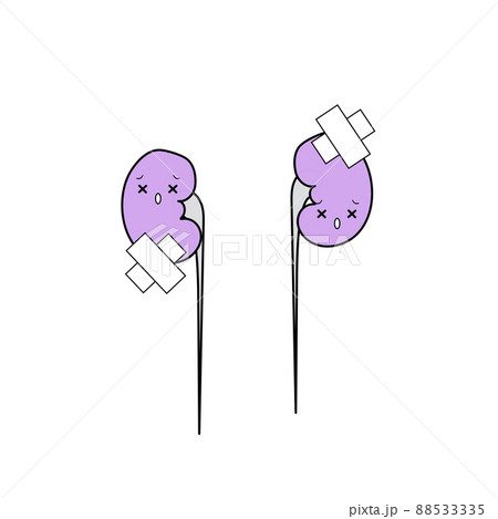 イラスト素材 かわいいシンプルな臓器アイコン 腎臓 のイラスト素材