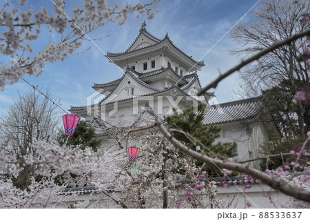 春の大垣城 88533637