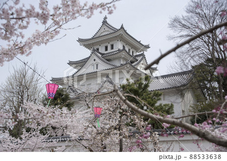春の大垣城 88533638