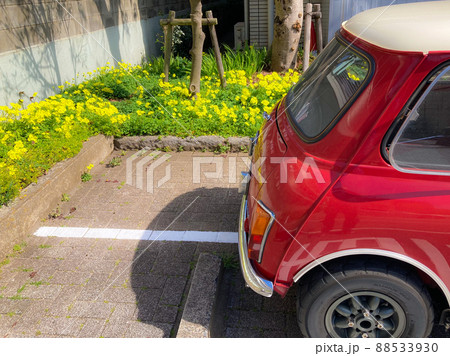 春、黄色のフリージアと赤いミニクーパー 88533930