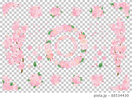 Decorative parts vector material for cherry blossoms (flowers, branches, buds, leaves) 88534430
