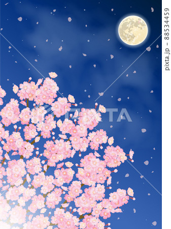 夜桜と満月のベクターイラスト 夜桜と満月のベクターイラスト 88534459