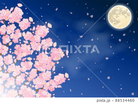 夜桜と満月のベクターイラスト 夜桜と満月のベクターイラスト 88534460
