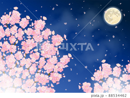 夜桜と満月のベクターイラスト 夜桜と満月のベクターイラスト 88534462