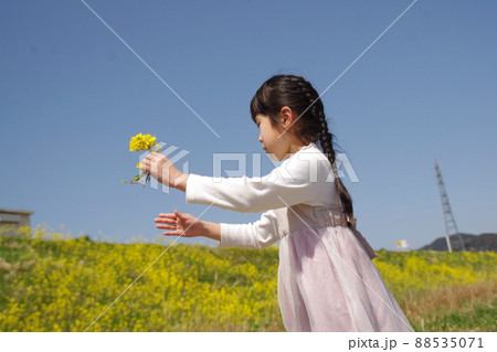 菜の花畑の女の子 88535071