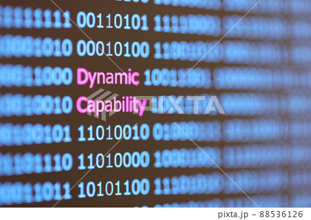 ダイナミックケイパビリティ Dynamic Capability イメージ 88536126