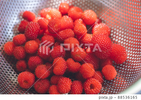 摘んだ野苺の実で手作りジャムを作ります 88536165