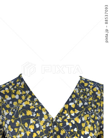 上半身 背景 証明写真のイラスト素材