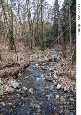春の山ノ神自然園 流れる川 春の山ノ神自然園 流れる川 88537244