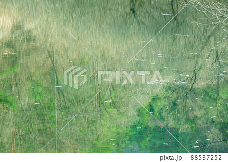 山ノ神自然園　たまらずの池 88537252