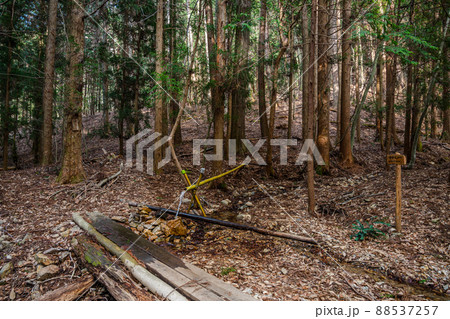 山ノ神自然園　女神様の水 88537257