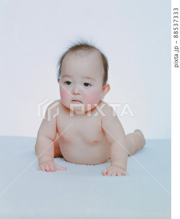 ハイハイする赤ちゃん ハイハイする赤ちゃん 88537333