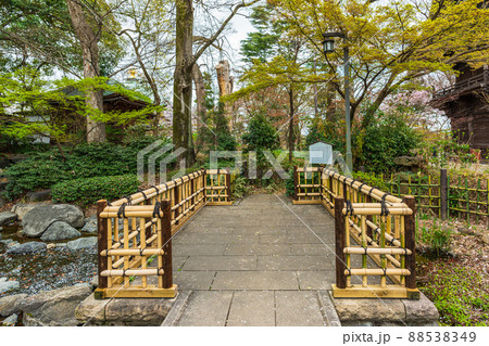春の世田谷 桜巡り散歩、九品仏浄真寺 春の世田谷 桜巡り散歩、九品仏浄真寺 88538349