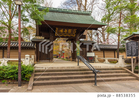 春の世田谷　桜巡り散歩、九品仏浄真寺 88538355