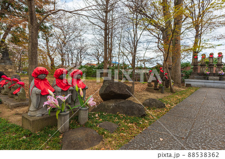 春の世田谷 桜巡り散歩、九品仏浄真寺 春の世田谷 桜巡り散歩、九品仏浄真寺 88538362