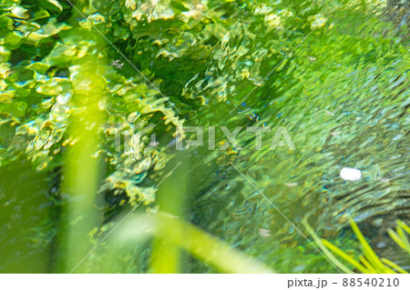 背景素材 水辺の新緑・清流・エコイメージ(大山 伯耆町) 背景素材 水辺の新緑・清流・エコイメージ(大山 伯耆町) 88540210
