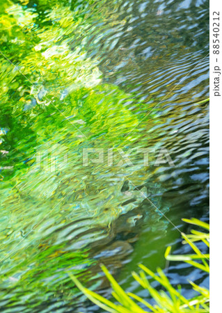 背景素材 水辺の新緑・清流・エコイメージ(大山 伯耆町) 背景素材 水辺の新緑・清流・エコイメージ(大山 伯耆町) 88540212