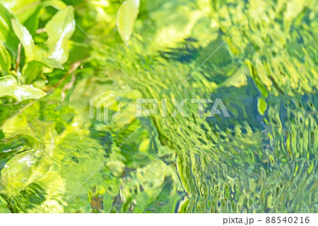 背景素材 水辺の新緑・清流・エコイメージ(大山 伯耆町) 背景素材 水辺の新緑・清流・エコイメージ(大山 伯耆町) 88540216