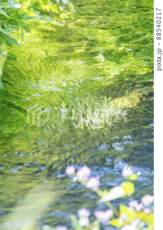 背景素材 水辺の新緑・清流・エコイメージ(大山 伯耆町) 背景素材 水辺の新緑・清流・エコイメージ(大山 伯耆町) 88540217