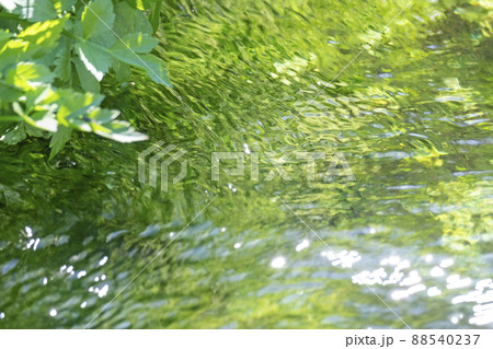 背景素材 水辺の新緑・清流・エコイメージ(大山 伯耆町) 背景素材 水辺の新緑・清流・エコイメージ(大山 伯耆町) 88540237