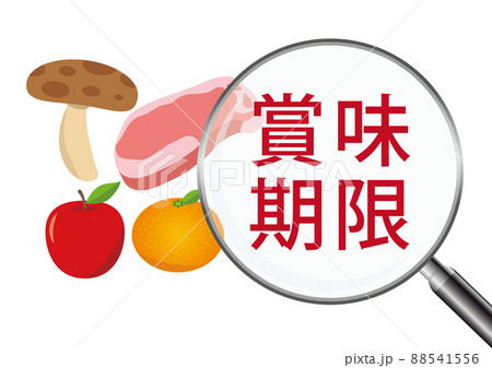 賞味期限 88541556